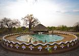 Planet Baobab, Makgadikgadi Pans