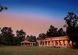 Mahua Kothi, Bandhavgarh National Park