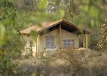 Tented accommodation at Shergarh, Kanha National Park