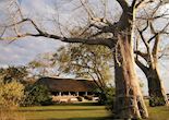 Mvuu Camp, Liwonde National Park