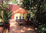 The Red Tree House, Mexico City