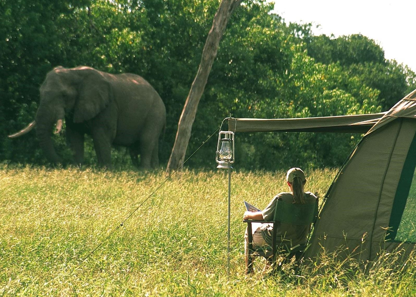 botswana safari packages uk