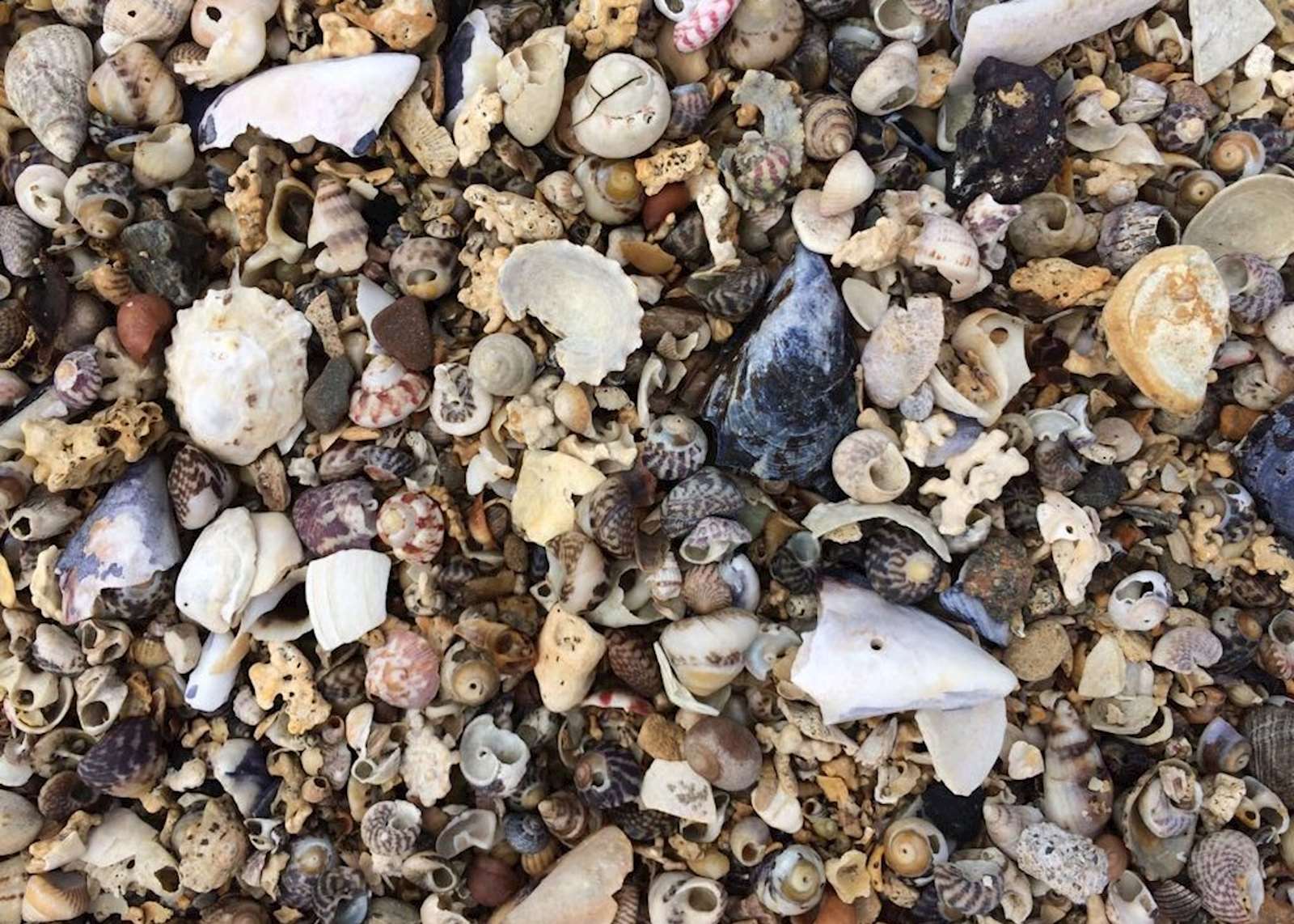 Grand tour of France | Audley Travel US