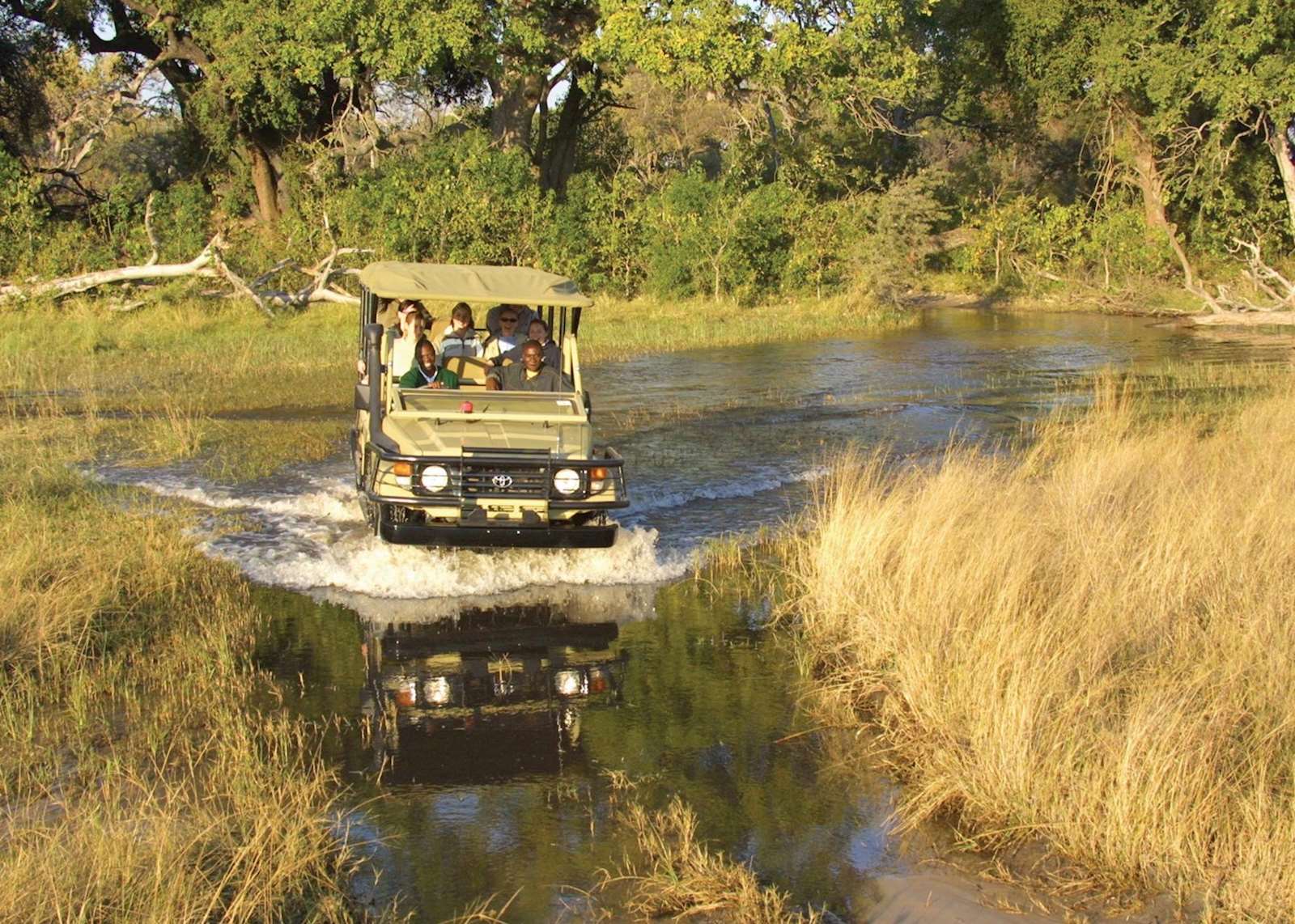 Chobe National Park and the Okavango Delta Tour | Audley Travel UK