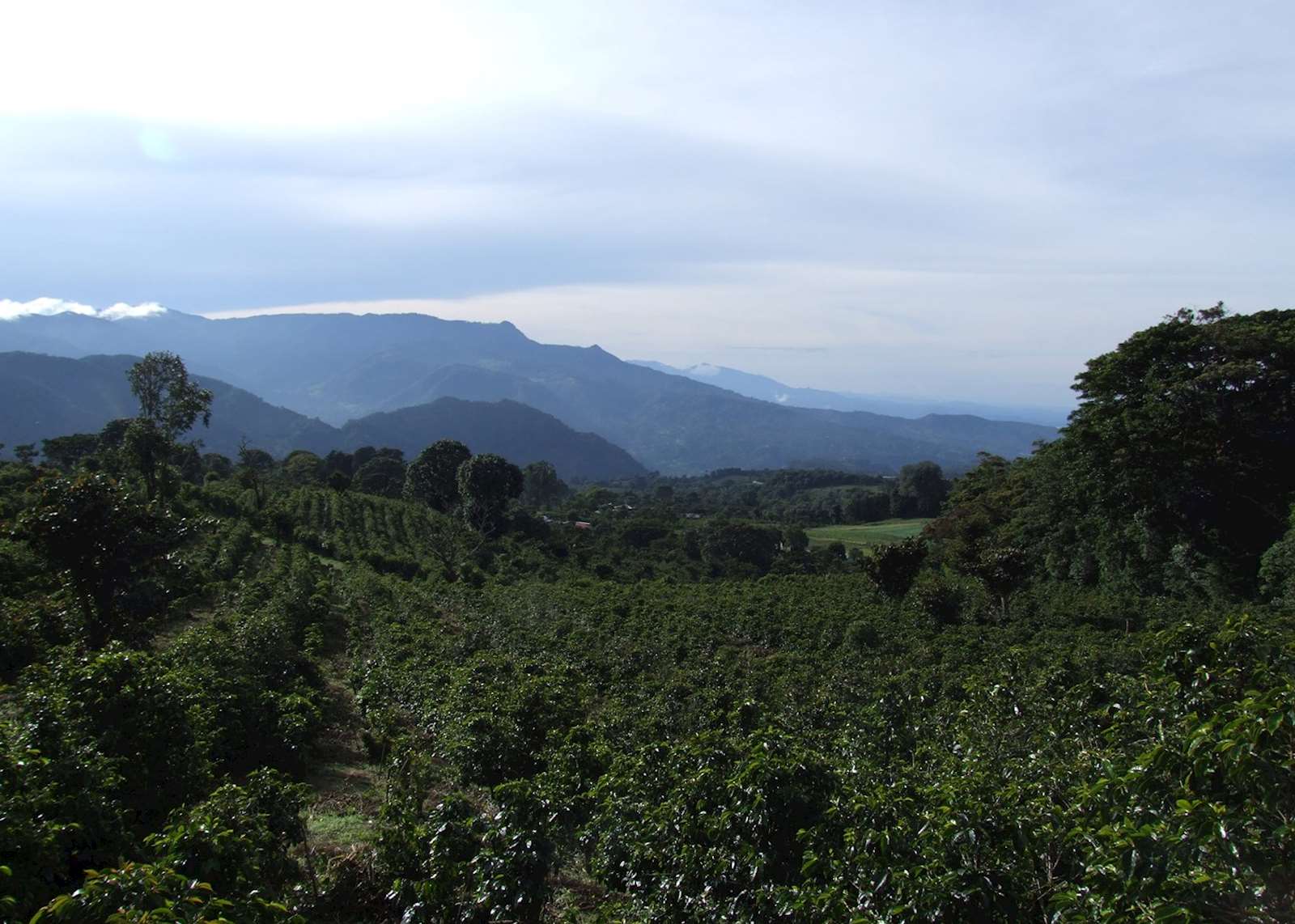 Boquete Panama highlands coffee farm