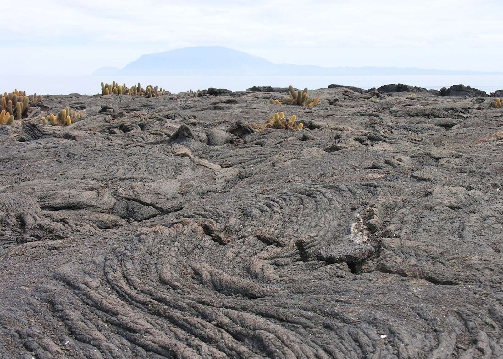 Galapagos cruise on the Yolita II | Audley Travel US