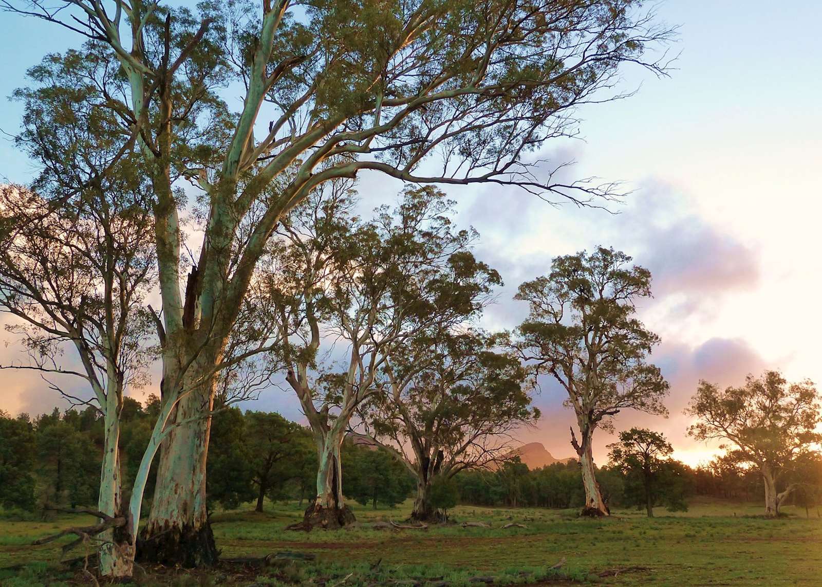 Flinders Rangers Outback South Australia's wine, wildlife & outback self-drive | Audley Travel US