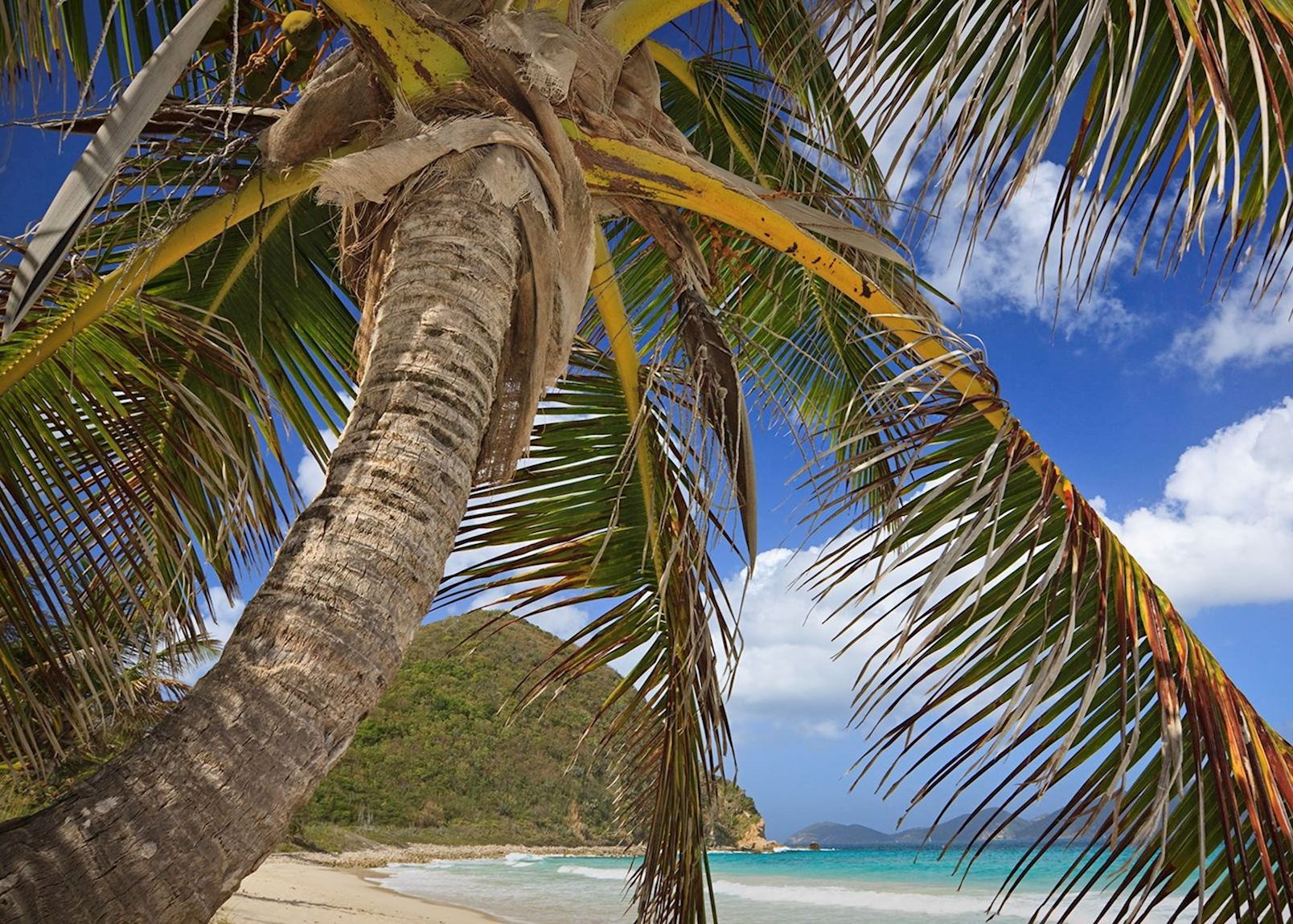 Visit Tortola, The British Virgin Islands | Audley Travel