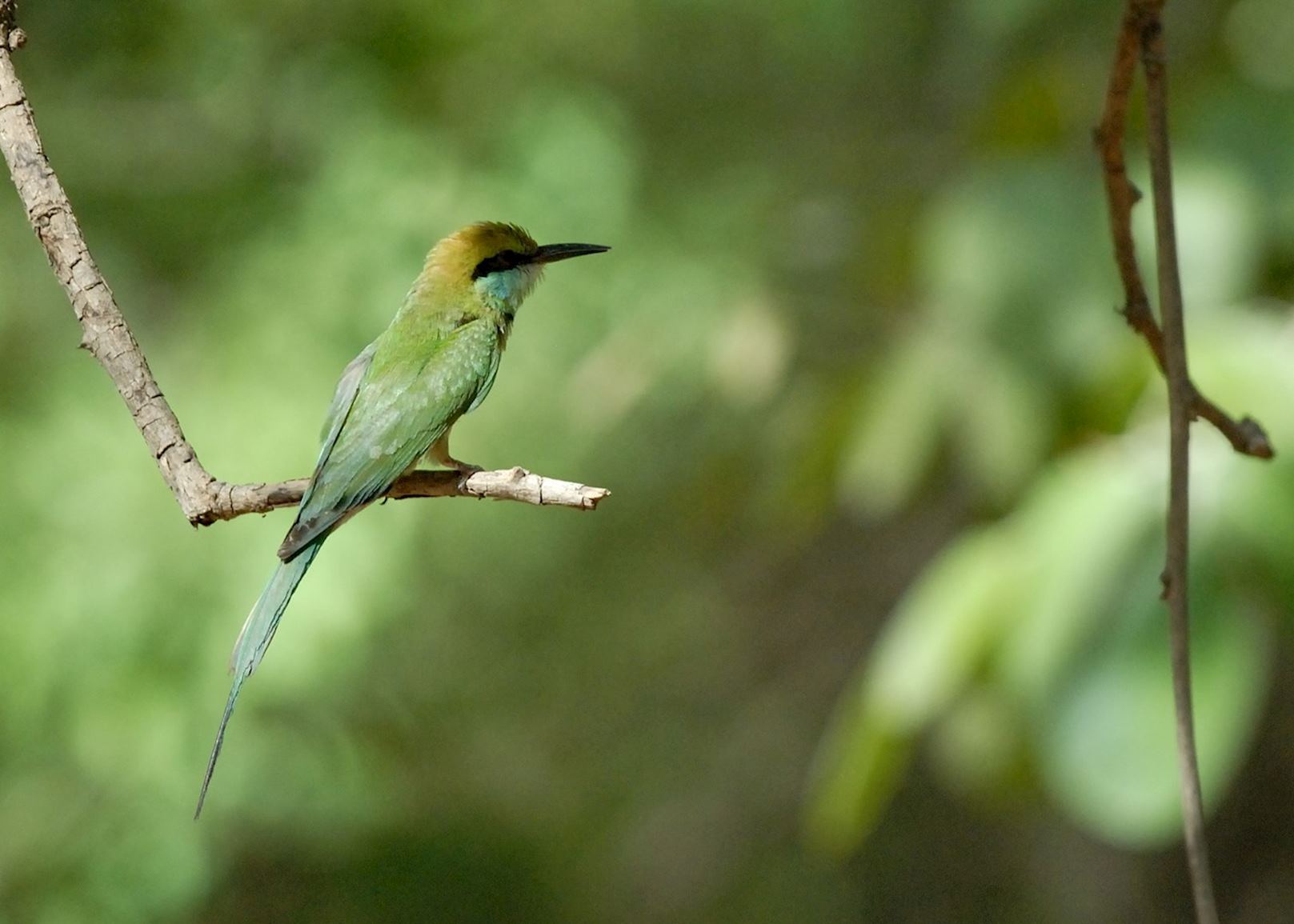 yala-national-park-jeep-safari-sri-lanka-audley-travel