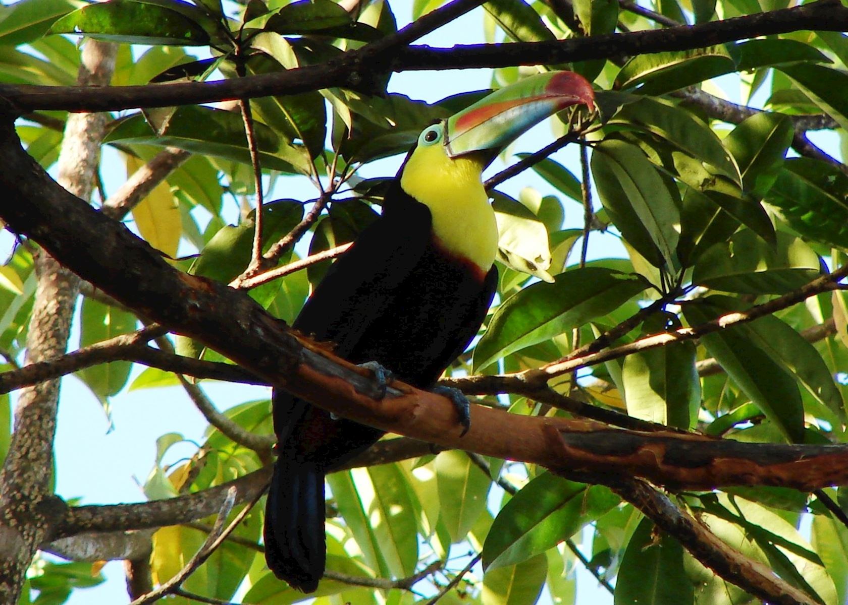 Best Time to Visit Belize | Climate Guide | Audley Travel US