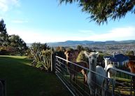 City Lights Boutique Lodge, Rotorua