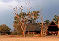 Bomani Tented Lodge, Hwange National Park