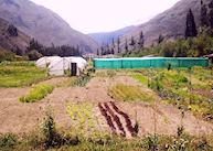 Organic farm, El Albergue, Sacred Valley of Incas