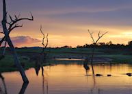 Sun-downers with the hippos on Lake Kariba