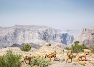 View from One bedroom cliff pool villa, Anantara Al Jabal Al Akhdar Resort, Jebel Akhdar