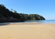 Turtle Beach, Wa Ale