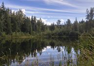 Lake view, Wolfwood Guest Ranch, Clearwater - Wells Gray Provincial Park