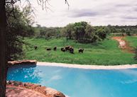 Pool, Garonga Safari Camp