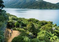 Queen Charlotte Track