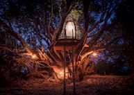 Tonga Basket Treehouse, KaingU Safari Lodge, Kafue National Park