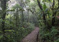 Monteverde Lodge & Gardens, Monteverde Reserve