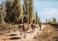 Horse riding, Cavas Wine Lodge 