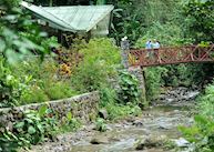  Canopy Lodge, Panama 