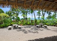 Gardens, Copa De Arbol Beach & Rainforest Resort