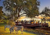 Zebra grazing in front of the Royal Livingstone Hotel