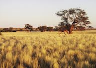 View of the surrounding area from the Kalahari Anib Lodge, Southern Namibia