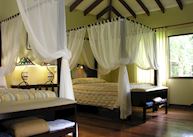 Standard room, Manatus Lodge, Tortuguero National Park