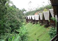 Feon'ny Ala, Andasibe-Mantadia National Park