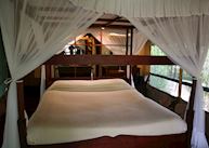 New luxury tent, Samburu Intrepids