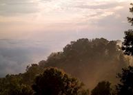 Views from Clouds Mountain Gorilla Lodge