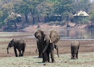 Chindeni Bushcamp, South Luangwa National Park