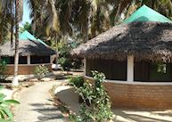 Baobab Ankify, Ankify