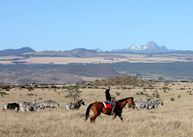 Horse riding from Lewa Wilderness 