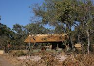 Musekese Bush Camp, Kafue National Park