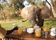 Chongwe River Camp, Lower Zambezi National Park