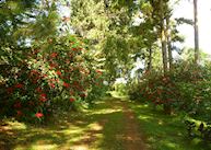 Zomba Forest Lodge, Zomba
