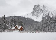 Winter at Emerald Lake Lodge, Field
