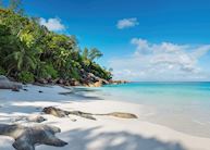 Beach, Constance Lemuria, Praslin