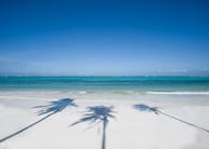 Bwejuu beach, Baraza, Zanzibar Island