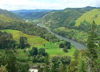Whanganui River Road, New Zealand Whanganui River Road, New Zealand