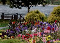 Lakeside Park, Nelson Lakeside Park, Nelson