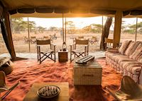 Nomad Serengeti Safari Camp,Serengeti National Park Nomad Serengeti Safari Camp,Serengeti National Park