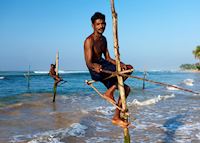 Stilt fishermen just outside Galle Stilt fishermen just outside Galle