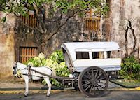 Horse and cart, typical transport in Intramuros, Manila Horse and cart, typical transport in Intramuros, Manila