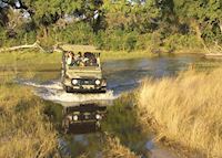 Game drive in the Nxabega Concession Game drive in the Nxabega Concession
