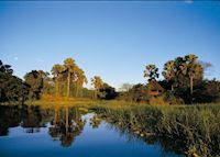 Mvuu Wilderness Lodge, Liwonde National Park Mvuu Wilderness Lodge, Liwonde National Park
